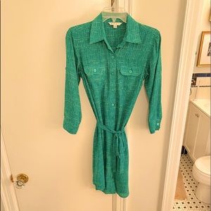CAbi green shirt dress
